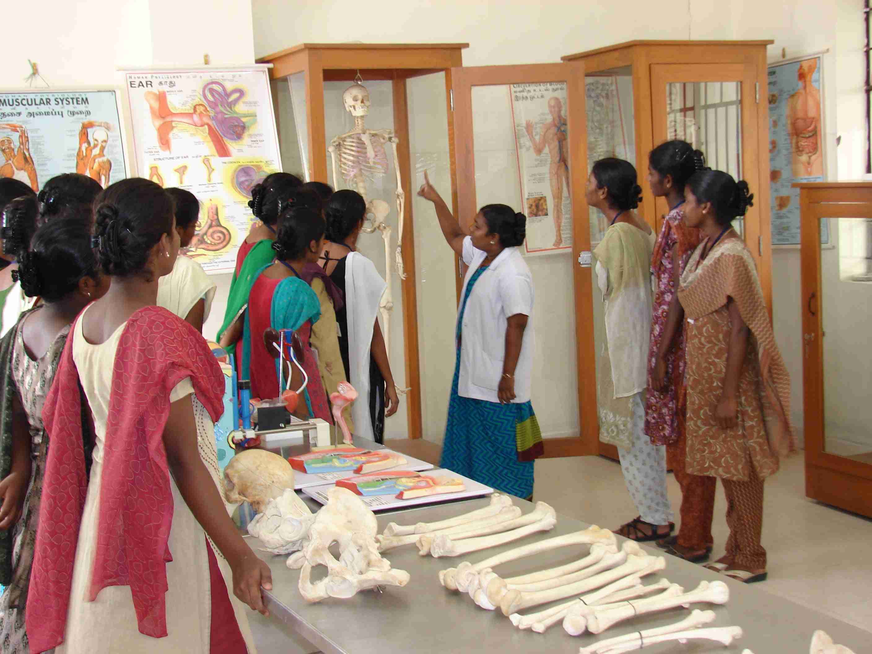 Anatomy & Physiology Laboratory